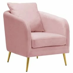 Buy ⌛ Blush Zuri Accent Chair with Gold Legs by Picket House Furnishings ⭐
